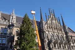 Der Christbaum  2018  für den Marienplatz kommt aus Farchant