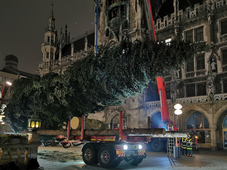 Feuerwehr stellt den Christbaum aus Steingaden am Marienplatz auf 2020