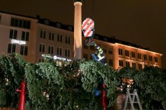 Feuerwehr stellt den Christbaum aus Steingaden am Marienplatz auf 2020
