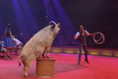 Lars Hölscher und Leide, Schweinerevue, Premiere 1. Winterprogramm Circus Krone in München  2019