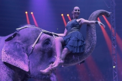 Jana Lacey-Krone, Elefantendame Bara, Premiere 1. Winterprogramm Circus Krone in München  2019