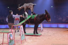Circus Krone 3. Winterprogramm 2020