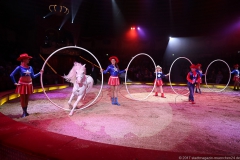 Circus Krone März 2017