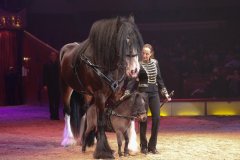 Jana Lacey-Krone, Das neue Winterprogramm "New Memories" im Circus Krone in München 2022