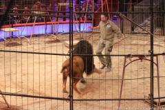Circus Krone hilft Kindern das Leb en zu Retten.  Kommentiertes Raubtiertraining zu Gunsten der Nicolas-May-Stiftung, 2023