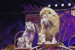 Mandana Circuskunst neu geträumt Circus Krone auf der Theresienwiese in München 2019