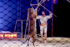 Martin Lacey,  Mandana Circuskunst neu geträumt Circus Krone auf der Theresienwiese in München 2019