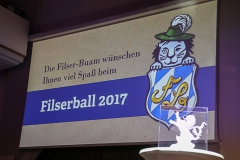 Filserball 2017