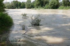 Hochwasser Isar in München 2021