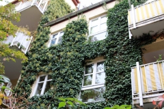 Münchens schönste Häuser - begrünt
