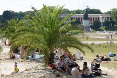Palmengarten auf der Theresienwiese in München 2020
