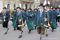 St. Patrick's Day 2016 /Parade