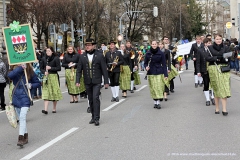 St. Patrick\'s Day 2016 /Parade