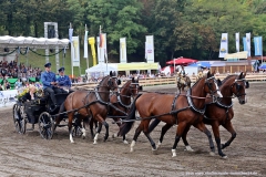 ZLF Pferdevorführungen 2016