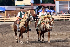 ZLF Pferdevorführungen 2016