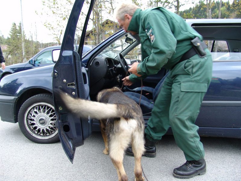 Sprengstoffhund Polizei München