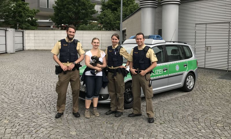 Illegaler Handel von Hundewelpen unterbunden Quelle Foto Polizei München 