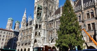 Der Christbaum am Marienplatz in München ist am 12.11.2018 aufgestellt worden. Er wurde von der Gemeinde Farchant gestiftet.