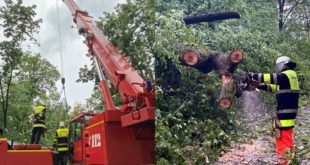 Feuerwehr Einsatz Sturm München Mittersendling umgestürzter Baum