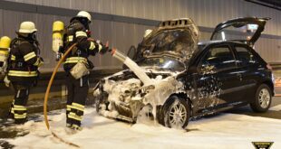 Auto brennt im Trappentreutunnel in München